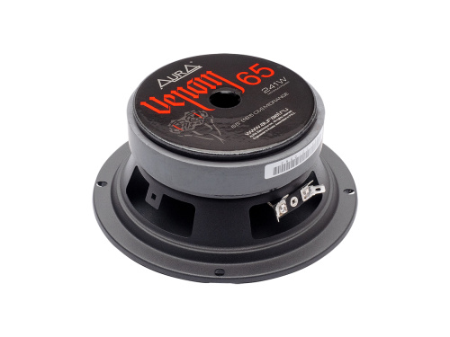 AURA VENOM - 65 фото 5