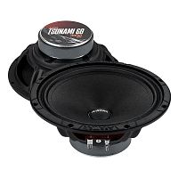 Avatar Tsunami 60 Акустика