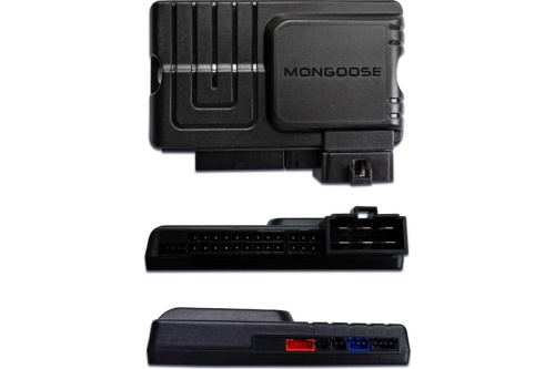 Mongoose Strike Двусторонняя автомобильная сигнализация c диалоговым кодом и автозапуском фото 4